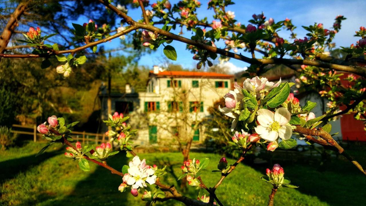 B&B Tre Ponti Castiglione Chiavarese Экстерьер фото